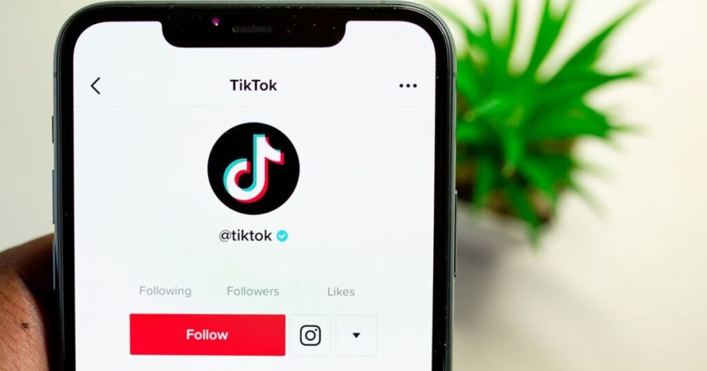 Perfect TikTok Username